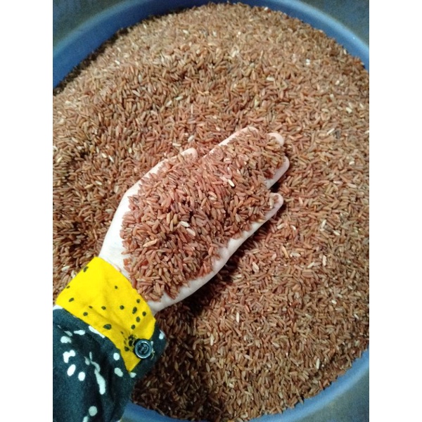 

BERA SOSOH MERAH 1KG