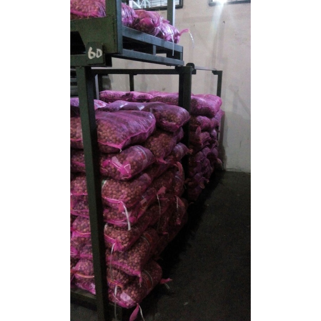 

Bawang Tunggal