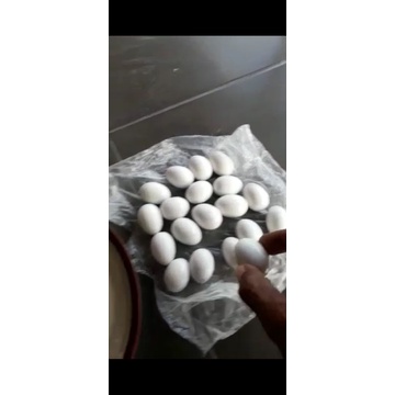 sulap telur mini getar air