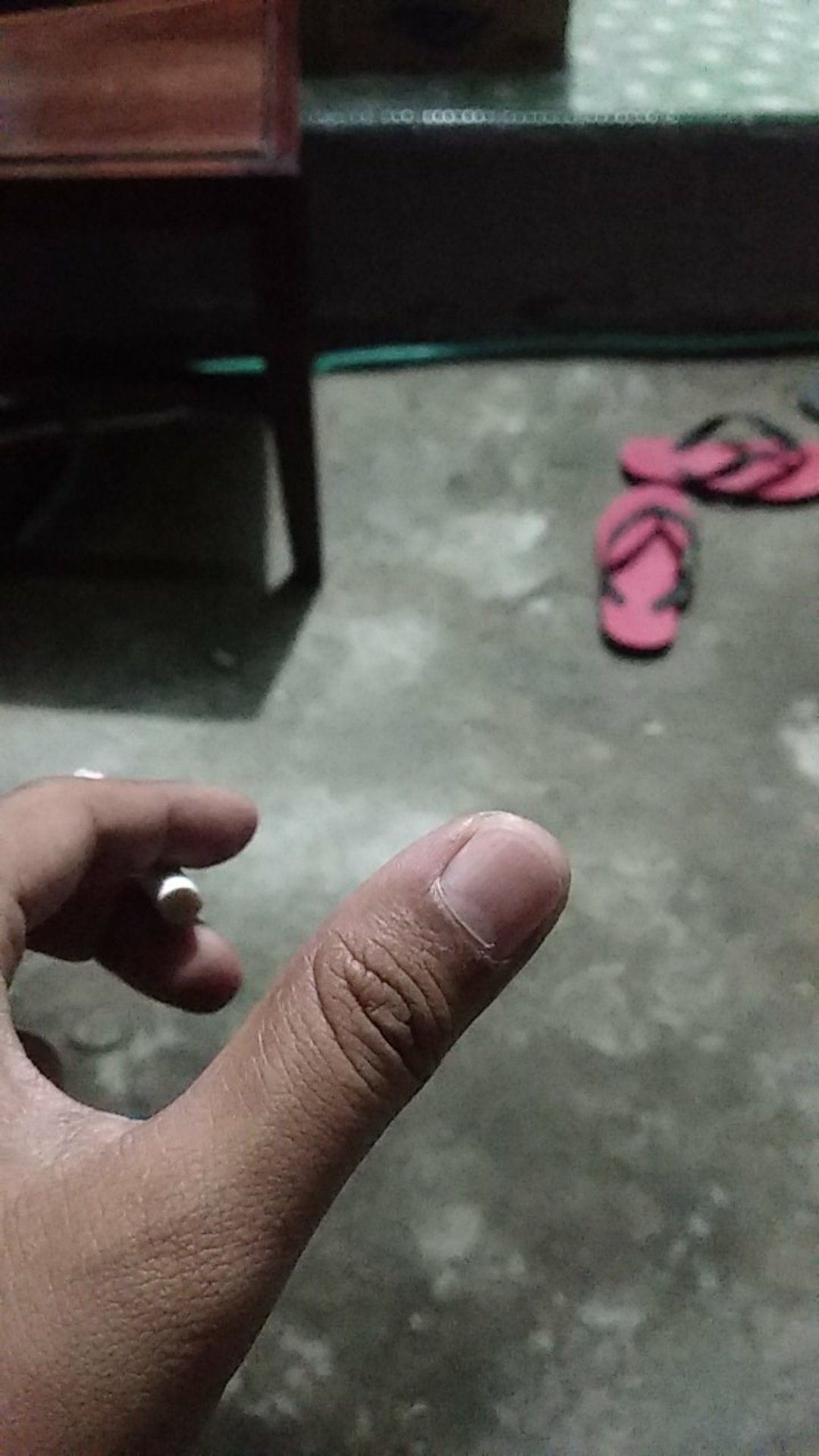 Kenmaster K-800 Gunting Dahan Kembang Stek Ranting Daun Kebun Pruning