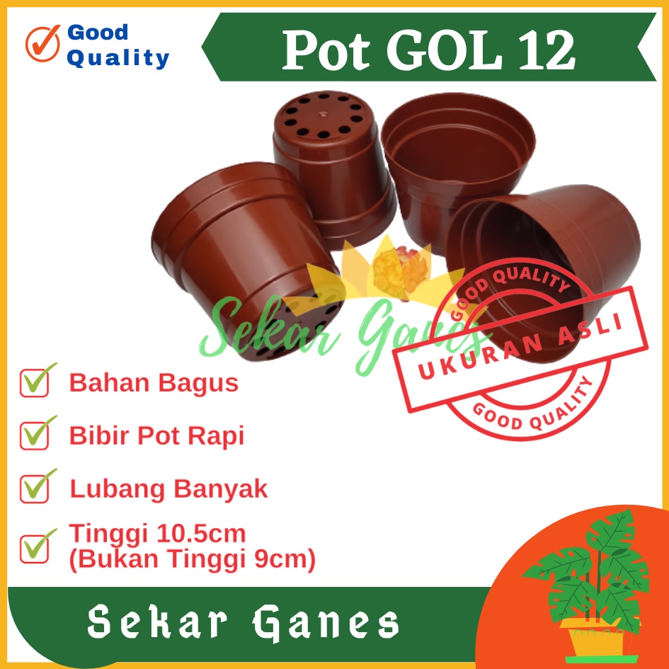 Sekarganes Pot 12 Cm Merah BataTerracota Terracotta Merah Coklat Polos - Pot 12 Hitam Kecil Mini Minimalis Plastik Kaktus Sukulen Mini Murah Pot Bibit Pembibitan