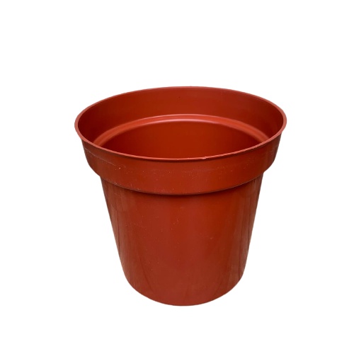 Pot Tinggi Srondol 20 Merah Bata Merah Coklat - Pot Tinggi Usa Lusinan Pot Tinggi Tirus Pot Kuat 15 18 20 30 35 40 50 Cm Paket murah isi 1 lusin pot bunga plastik lusinan pot tanaman Pot Bibit Besar Mini Kecil Medium