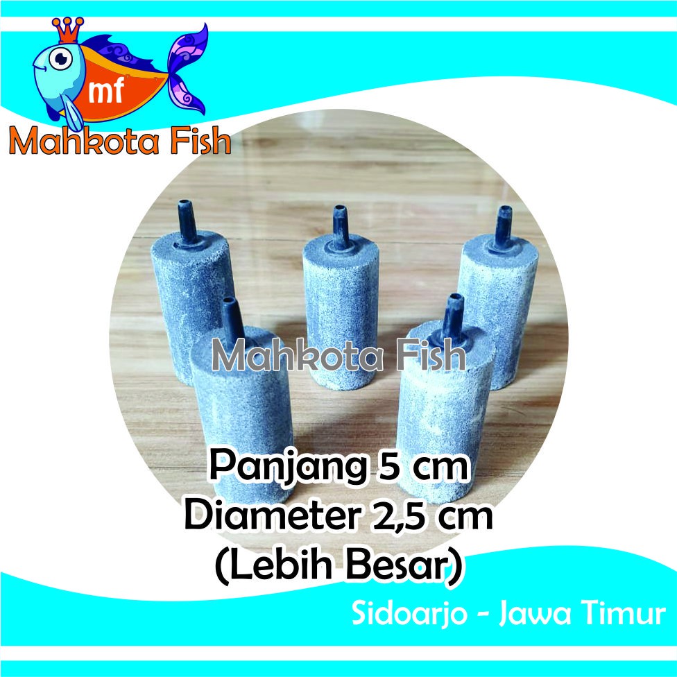 Batu Aerator PANJANG 5 CM | Batu Gelembung | Batu Aerasi | Airstone