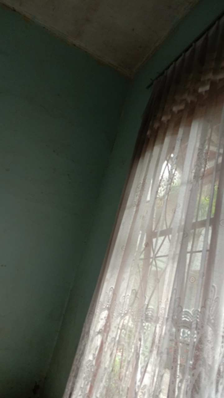 New Arrival Distro Batik Pria Sogan Hrb026 Batikaf Notoarto