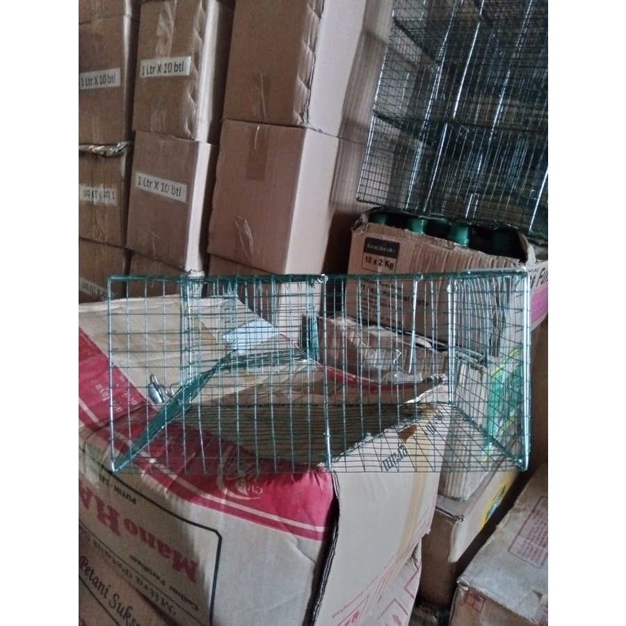 Perangkap jebakan tikus kawat