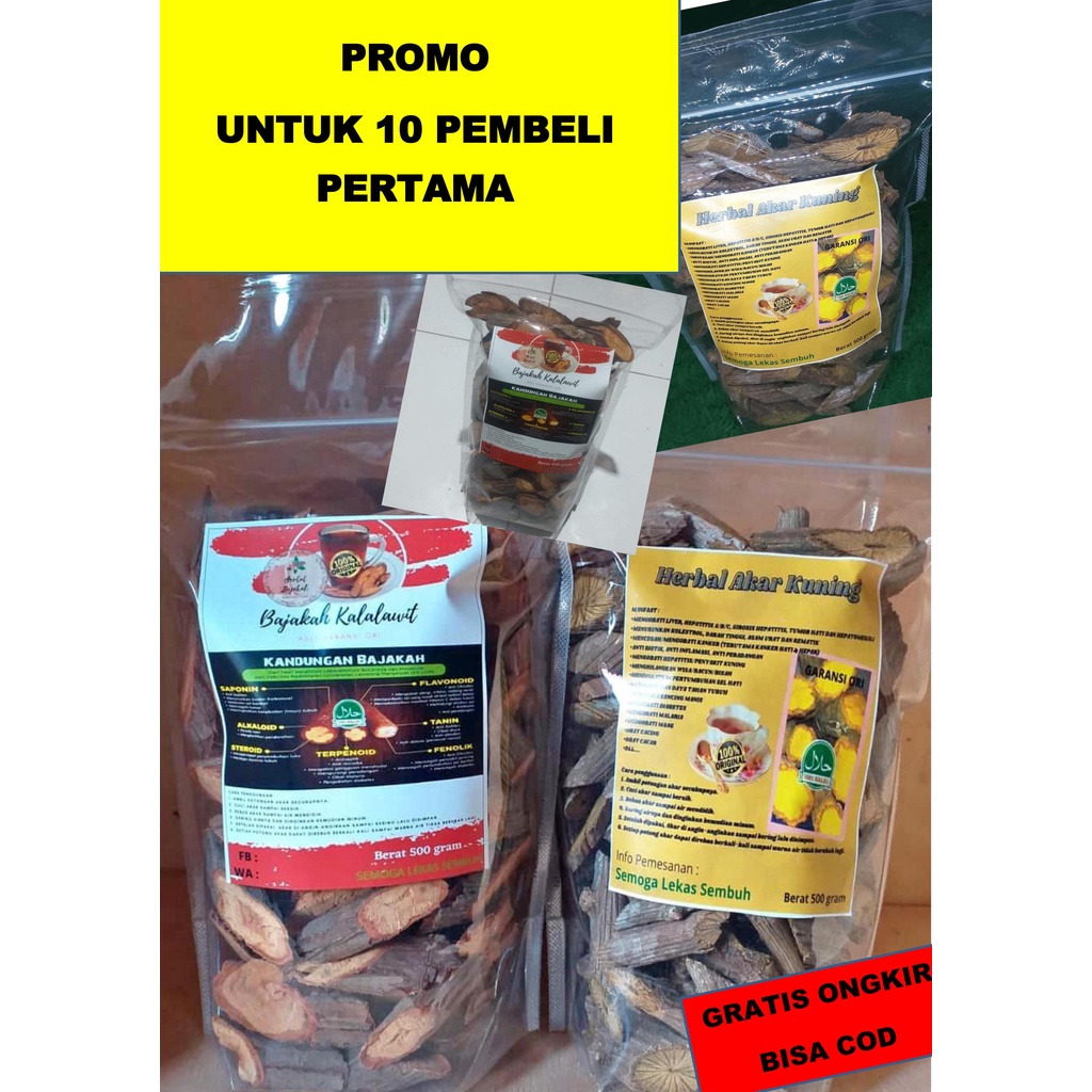 

{MANJUR} TEH BAJAKAH PREMIUM ASLI KALIMANTAN