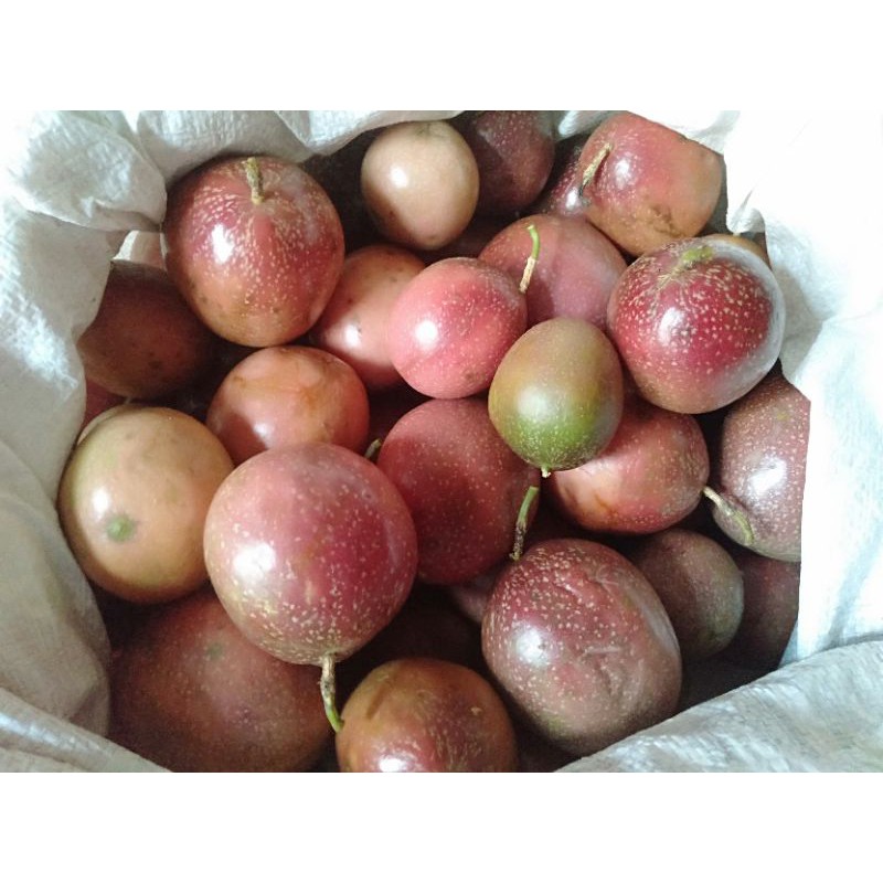 

Buah markisa kiloan ( kg )