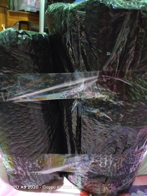 6 Pcs Toples Kerupuk Uk 5 Liter (tempat Kerupuk) Merek Sunraise