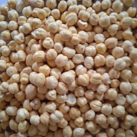 

KACANG ARAB#KACANG GANDUM GURIH#OLEH OLEH HAJI DAN UMROH
