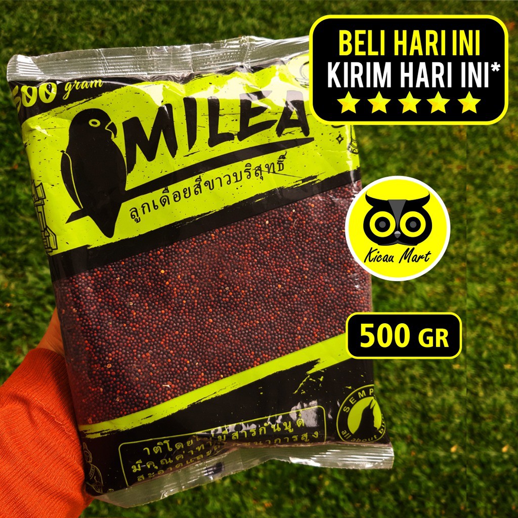 BIJI SAWI SEMPATI 500 GRAM PAKAN MAKANAN BURUNG KENARI PERKUTUT FINCH LOVEBIRD BLACKTHROAT DLL BSW5