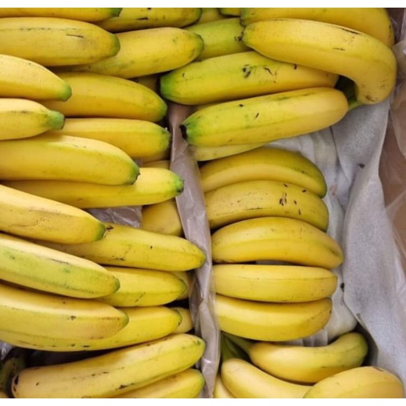 

Pisang Cavendish Sunpride Per Dus