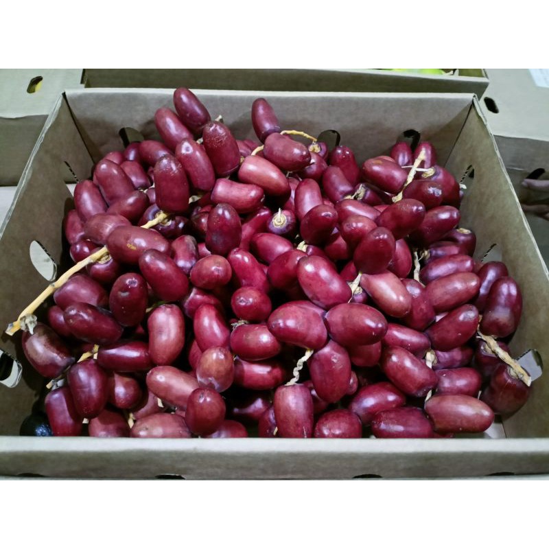 

Buah Kurma Muda Mix/Campur Merah Kuning Hijau