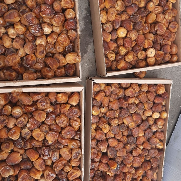 

KUALITAS TERBAIK - KURMA SUKARI PREMIUM GRADE A 3 KG