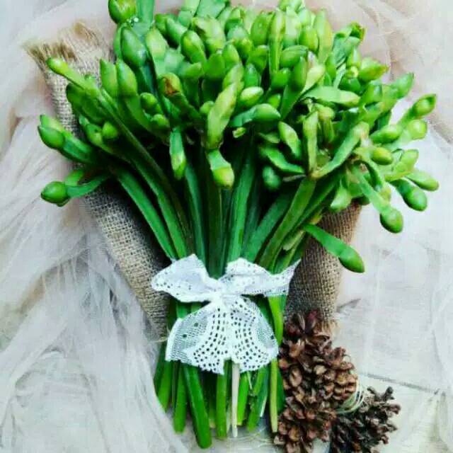 

❤ SEMBAKO MURAH ❤ Sayur Genjer Segar Ikat Kiloan Pasar Murah Bekasi Obat Herbal Alami