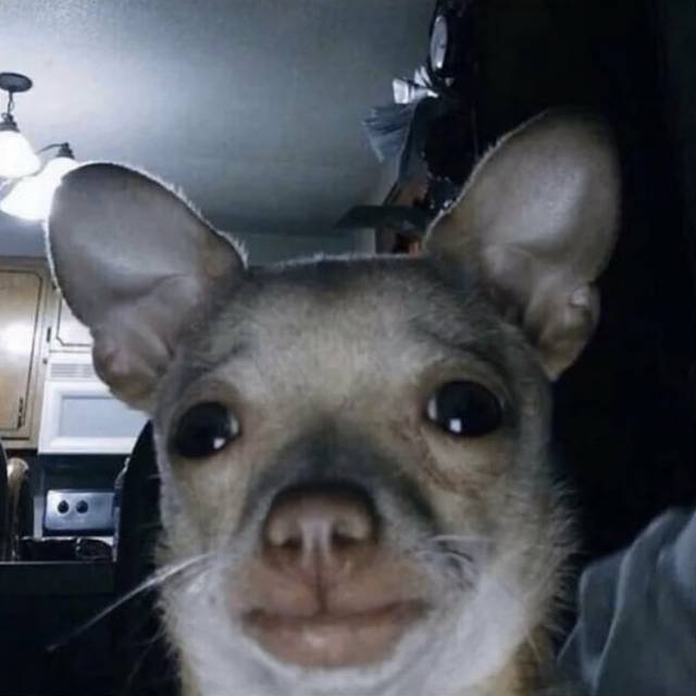 s*****n