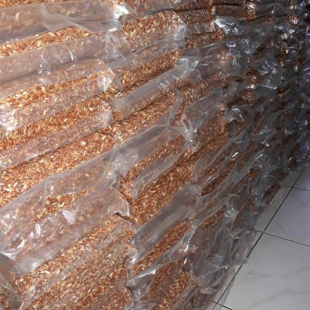 

Beras Merah Murah Karang Menjangan