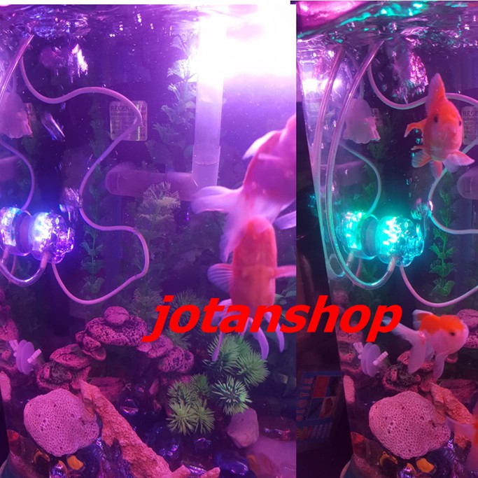 Lampu SUPER MINI BUBBLE LIGHT LED lamp gelembung udara aerator aquarium aquascape