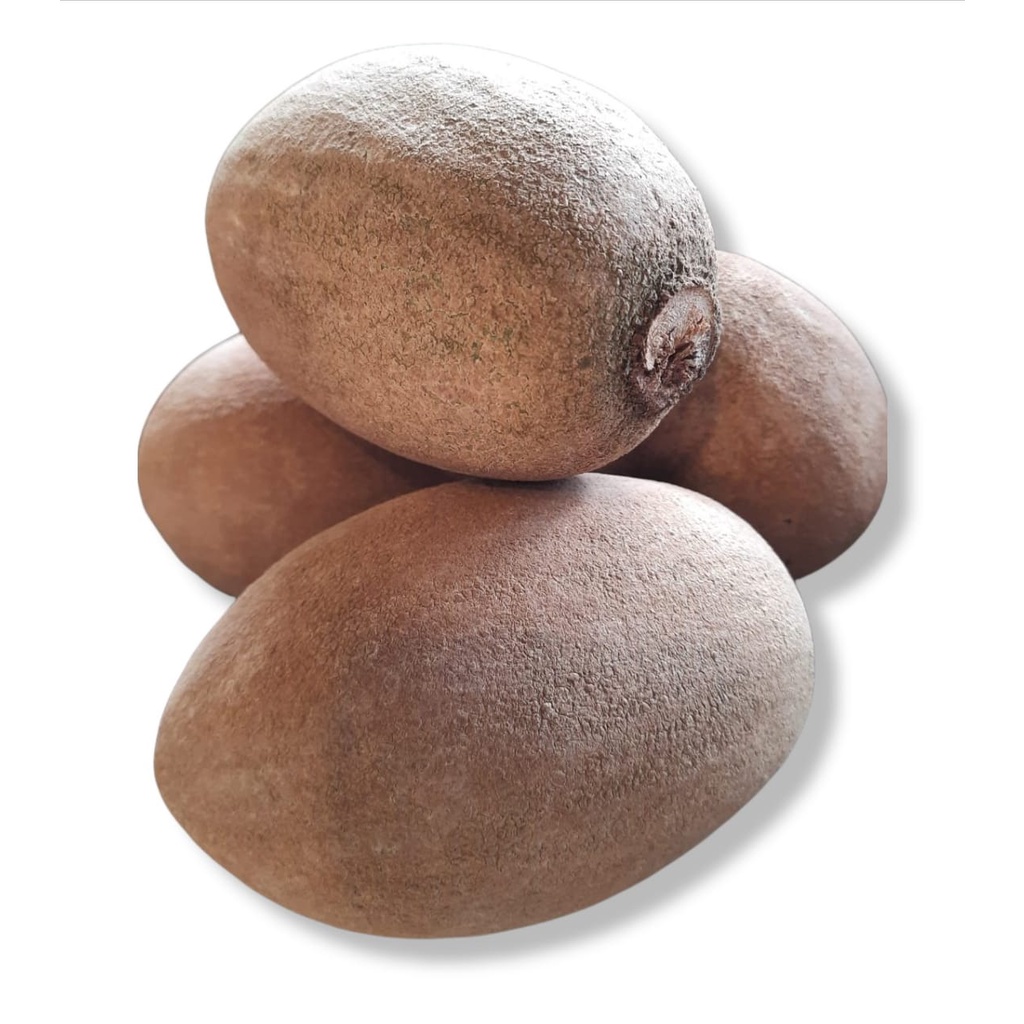 BUAH MAMEY SAPOTE, MAMEY SAPOTE