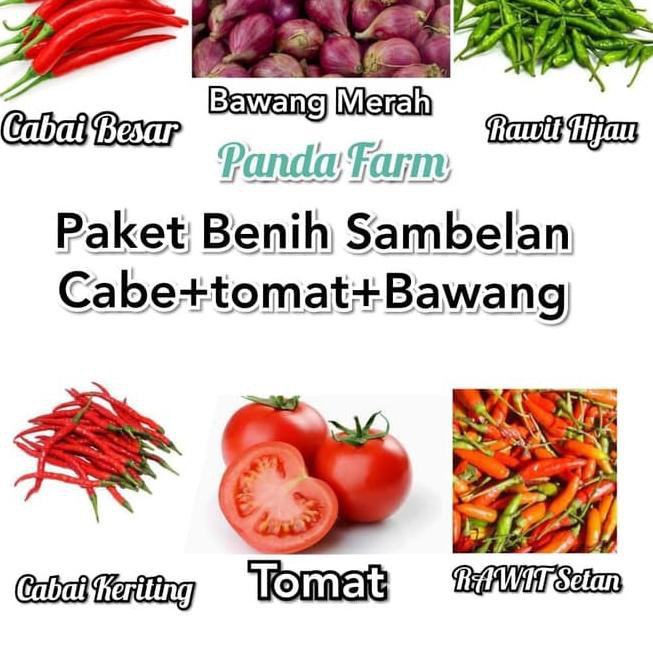 PREMIUM Paket Hemat Benih Sambelan aneka Cabai+tomat+bawang merah