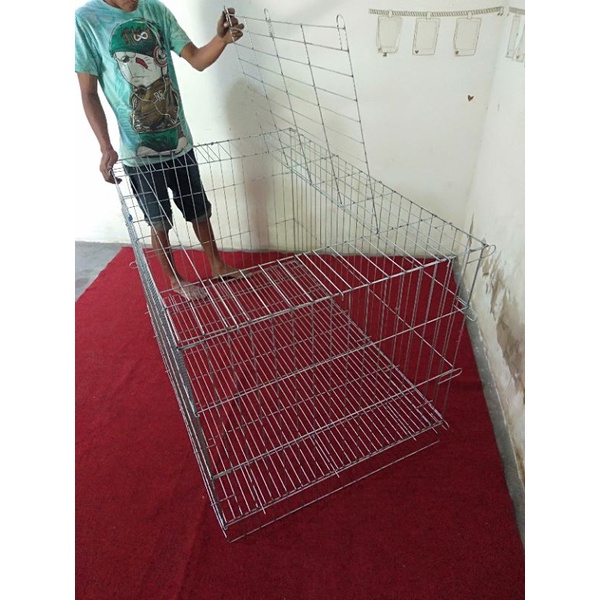 kurungan ayam bangkok