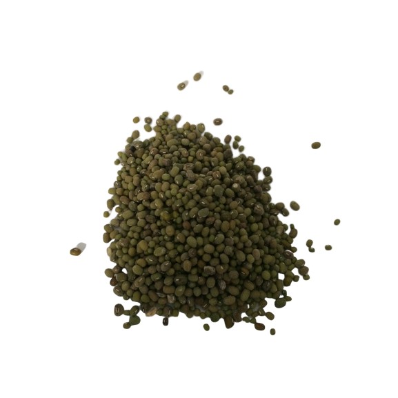 

KACANG HIJAU 250GR
