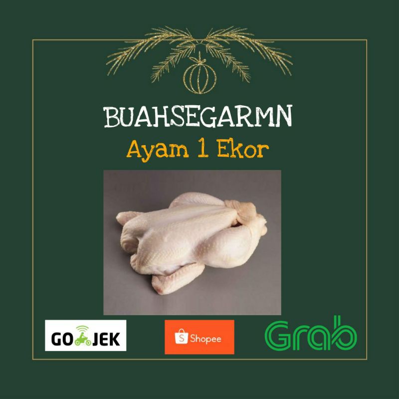 

Ayam 1 ekor