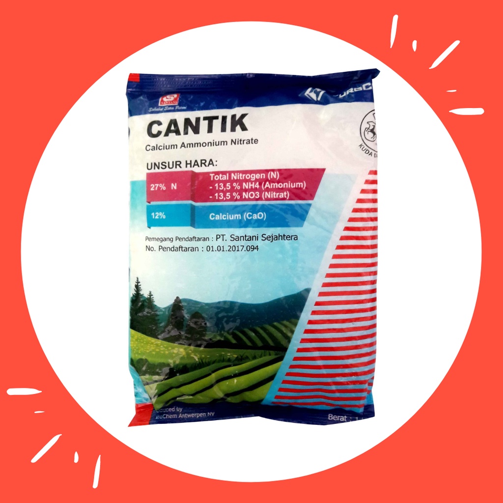 Jual CANTIK Pupuk Calsium Ammonium Nitrate 1 KG Shopee Indonesia