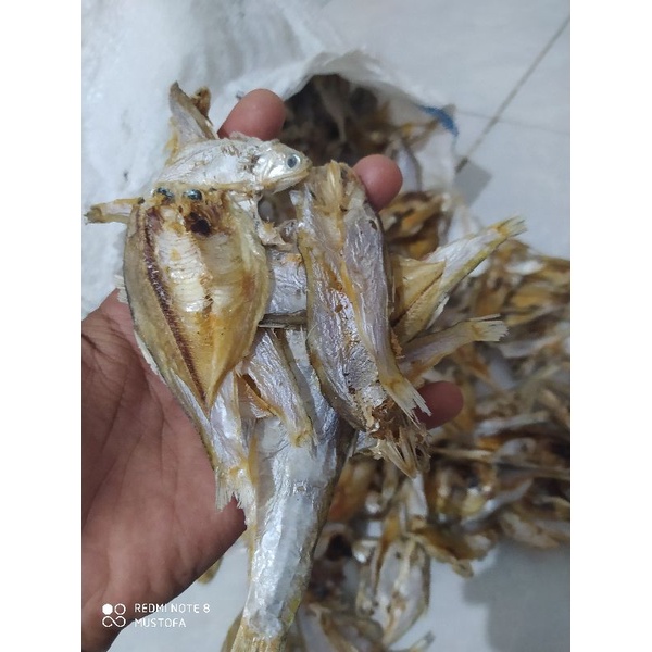 

ikan bilis kering