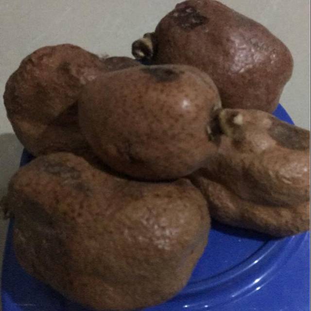 

Buah Zuriat