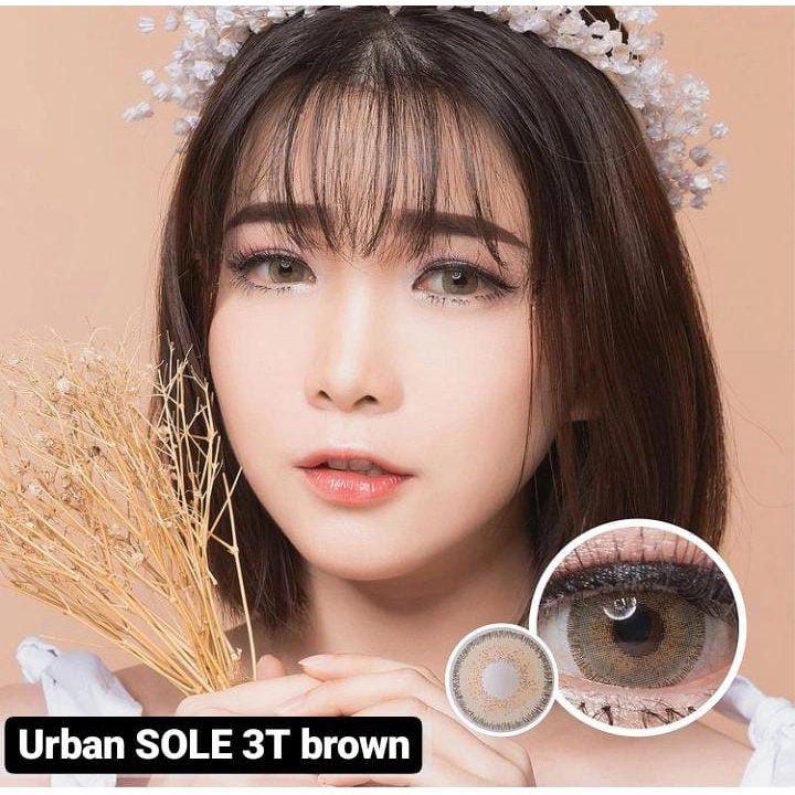 SOFTLENS URBAN SOLE 3T BROWN (NORMAL S/D -10.00)