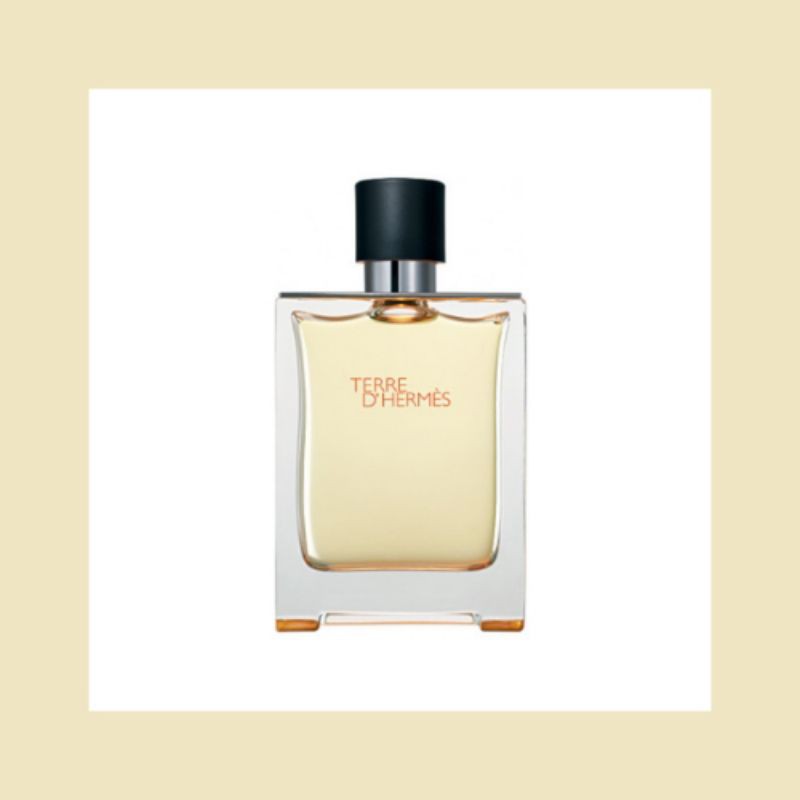  100% ORIGINAL Hermes Terre D Hermes EDT 100ml - Men