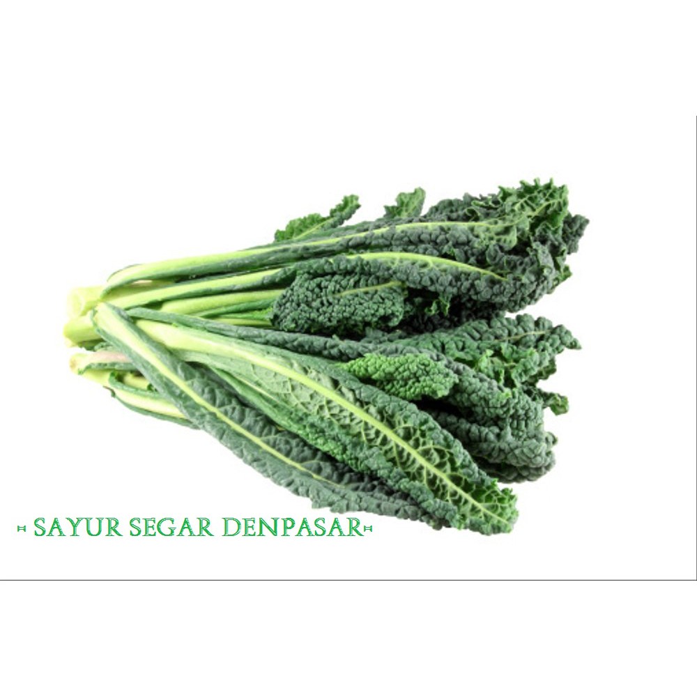 

KALE LURUS / KALE TOSCANO 250GR