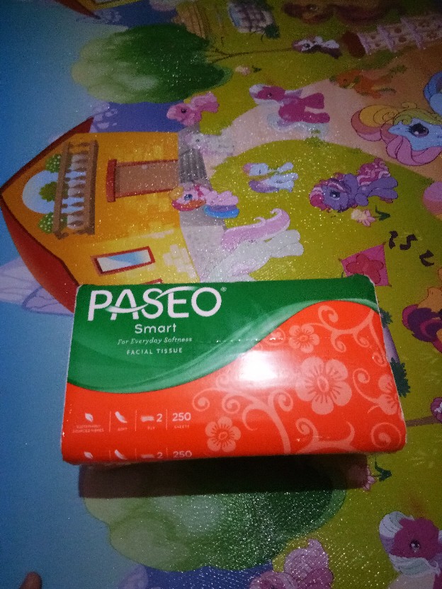 Tissue Paseo 250 Sheet