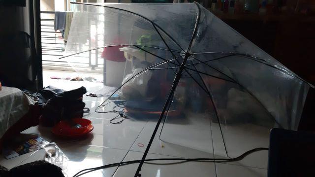 Payung Tongkat Transparan Bening Nagoya