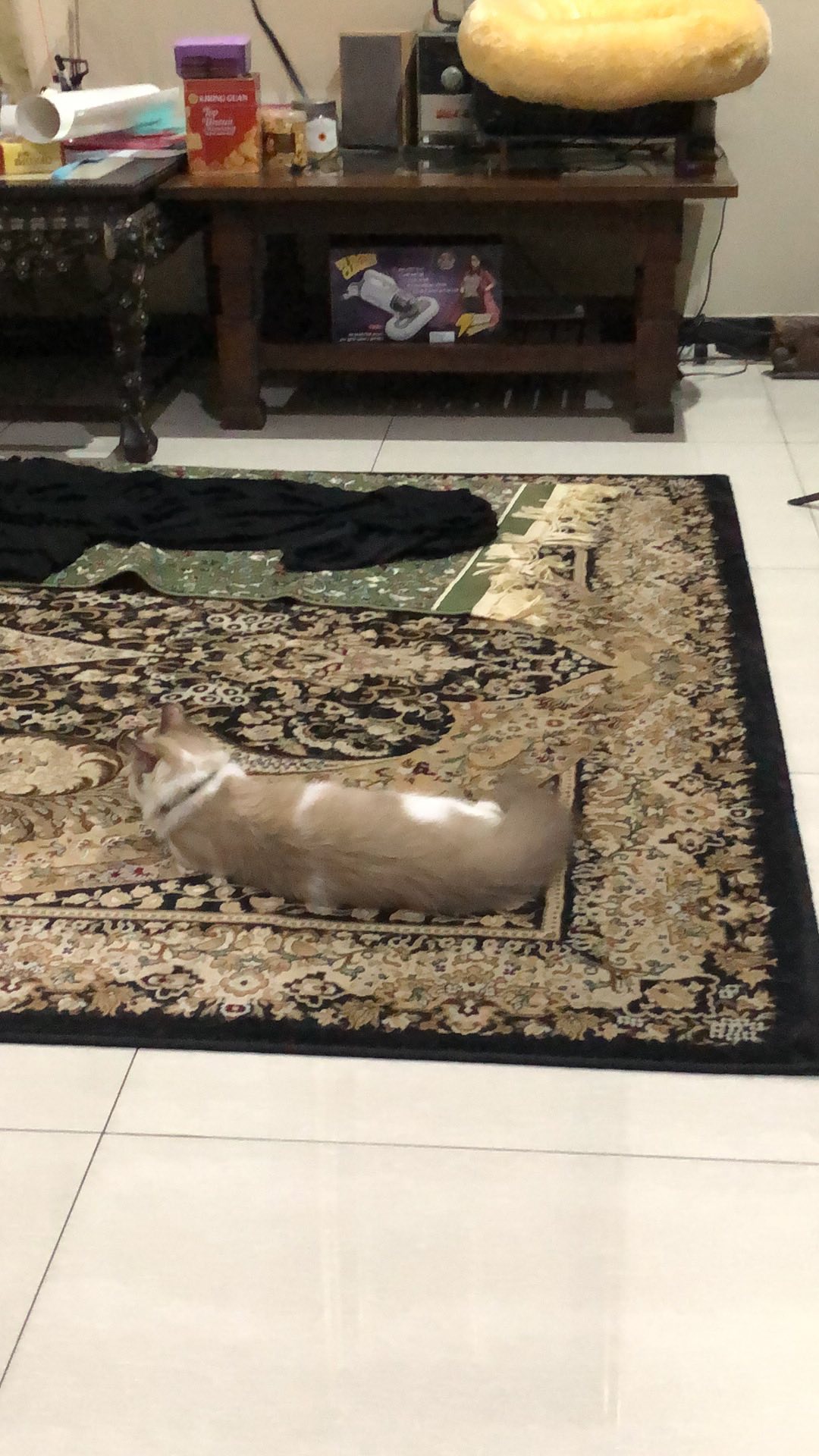Sambungan Kran Air Fleksibel Kepala Keran Kran Air Cuci Piring Wastafel Kipas Kincir