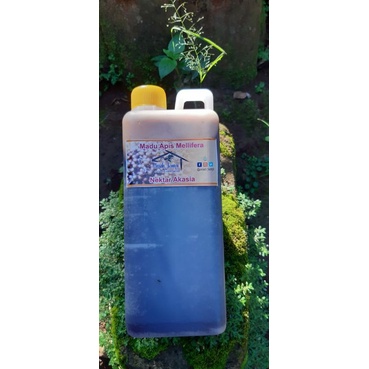 

madu murni apis mellifera