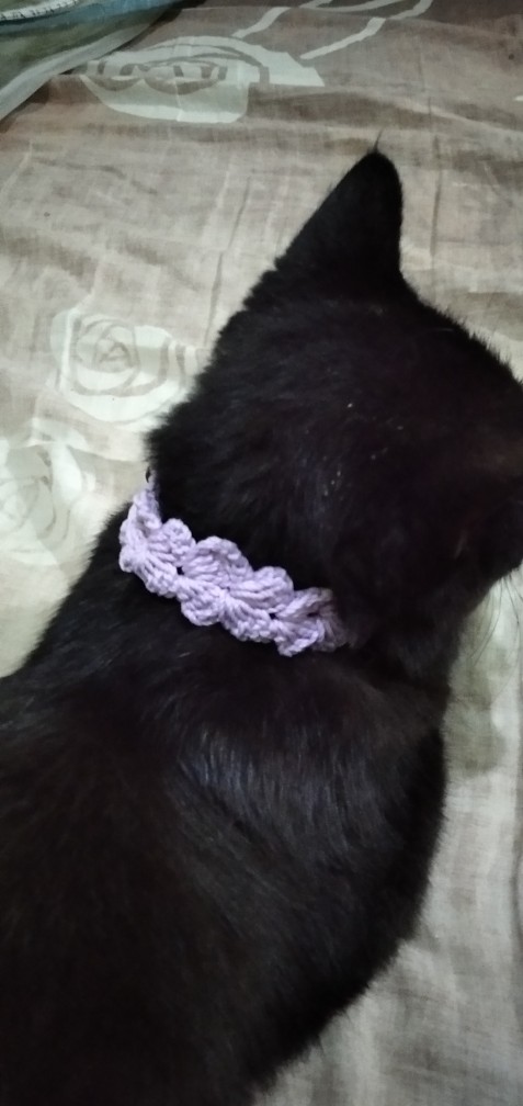 Polychery Varian Ungu