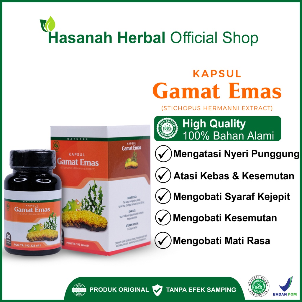 Obat Syaraf Kejepit Saraf Terjepit Saraf Kejepit Syaraf Terjepit Herbal Gamat Emas Kapsul Asli BPOM