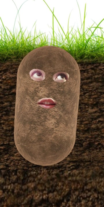 Payung Lipat Murah Motif Kotak (random)