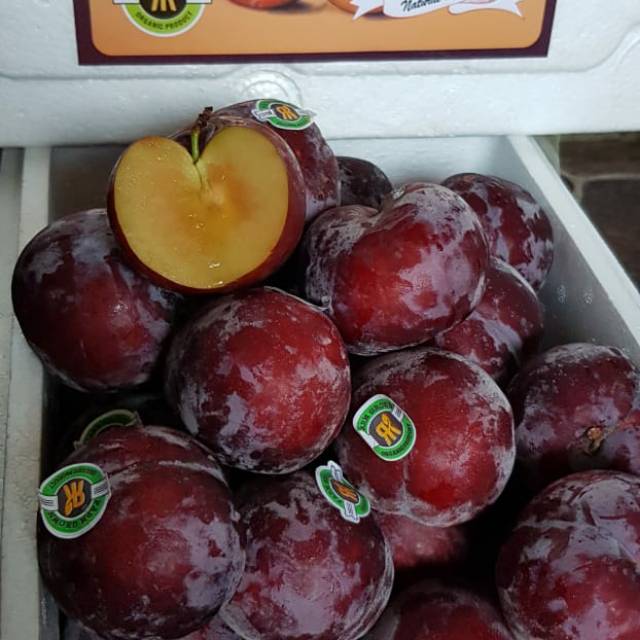 

Buah plum