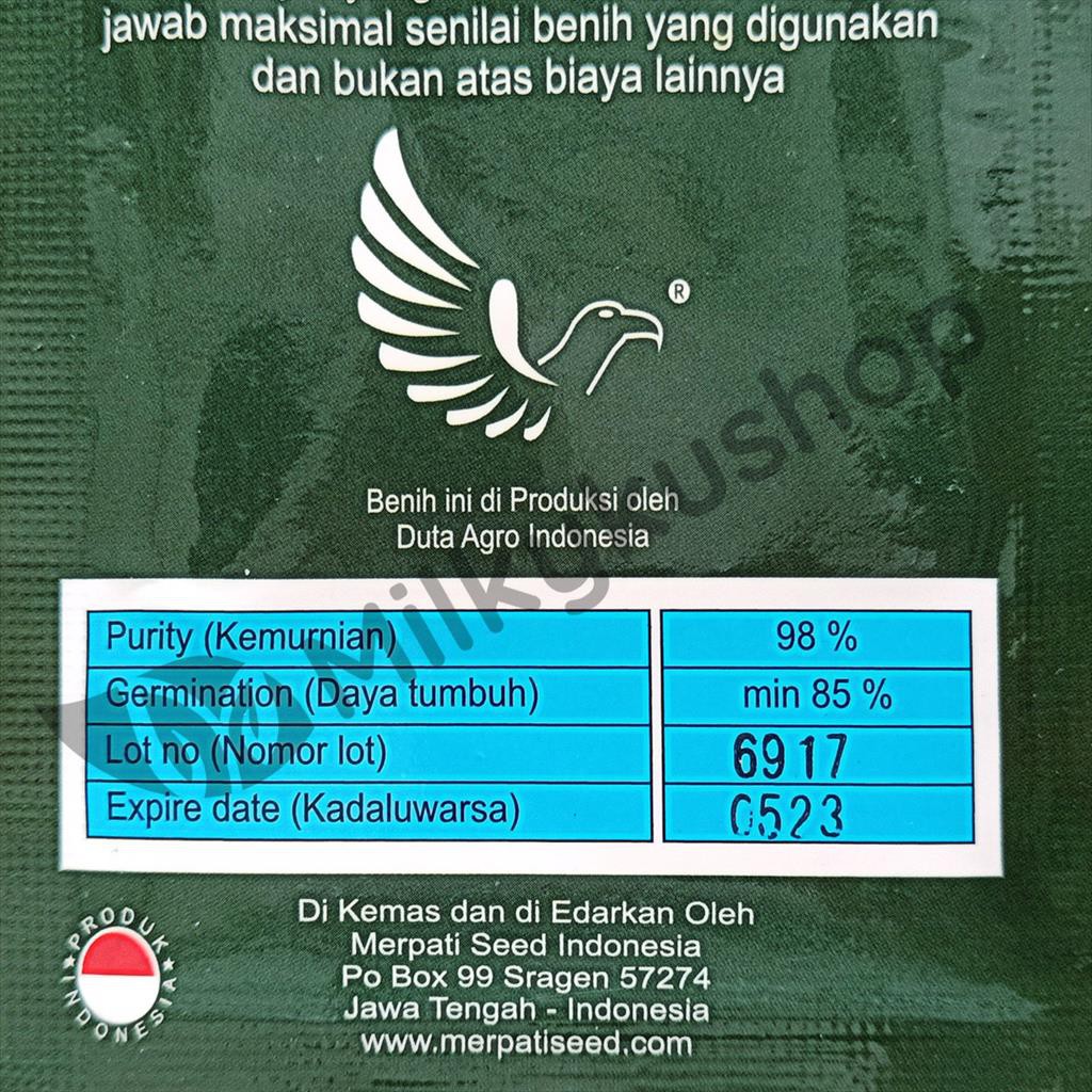 BENIH MERPATI SEED TRAVEL F1 TERONG 100 BIJI SACHET KEMASAN PABRIK