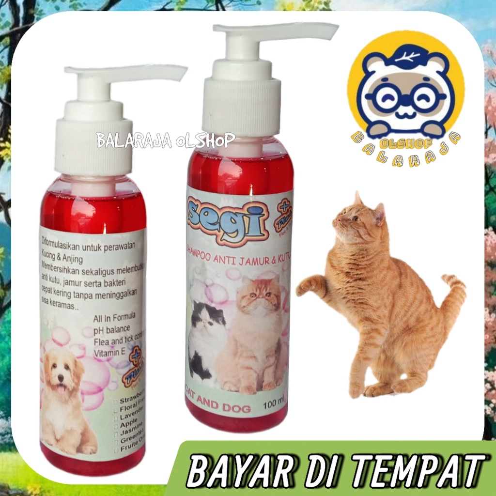 SAMPO KUCING ANJING ANTI KUTU JAMUR SHAMPOO SEGI PLUS 100ML AROMA STRAWBERRY