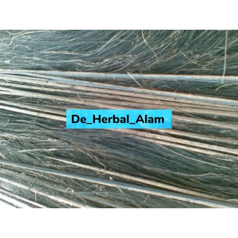sapu Harupat aren lidi harupat pohon aren per 1 ikat isi 50 P 40 cm