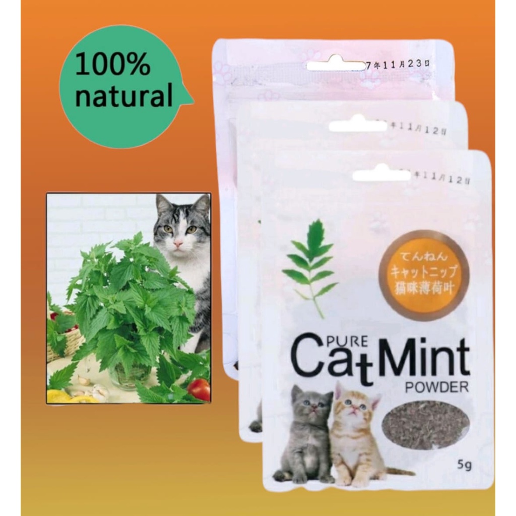 Catnip catmint cat mint - PURE CATMINT POWDER - BIKIN FLY KUCING
