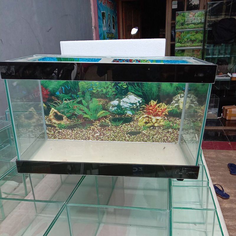 Jual Aquarium 60x30x35 background List Hitam Shopee Indonesia