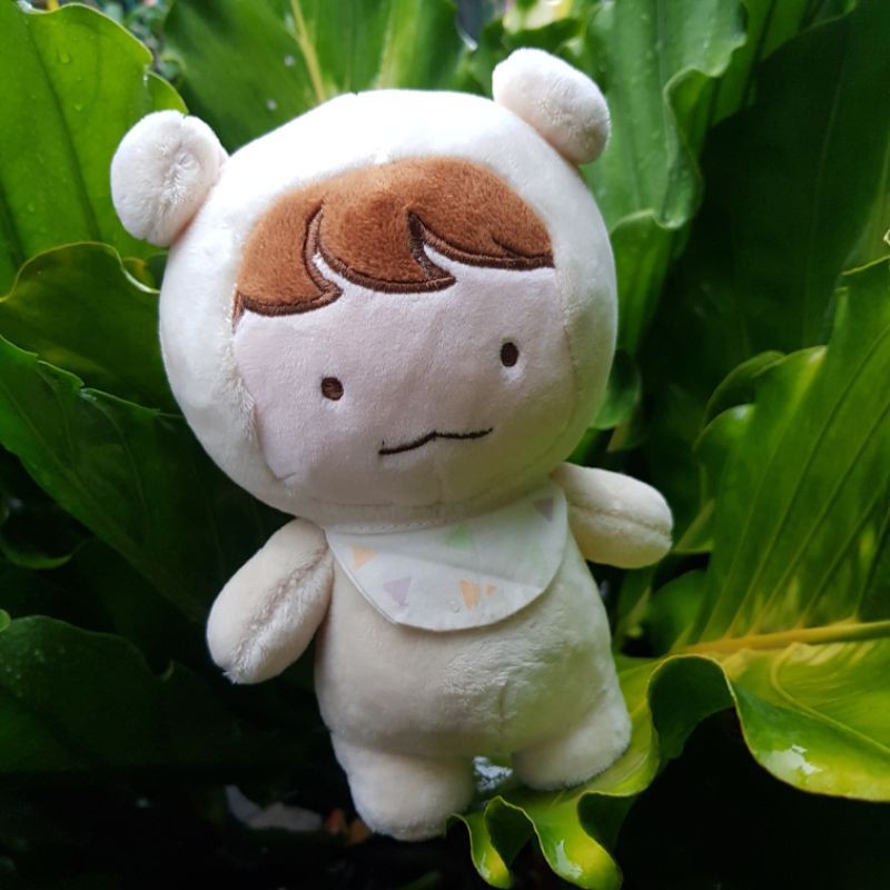 official doll fansite baekhyun exo limited edition boneka