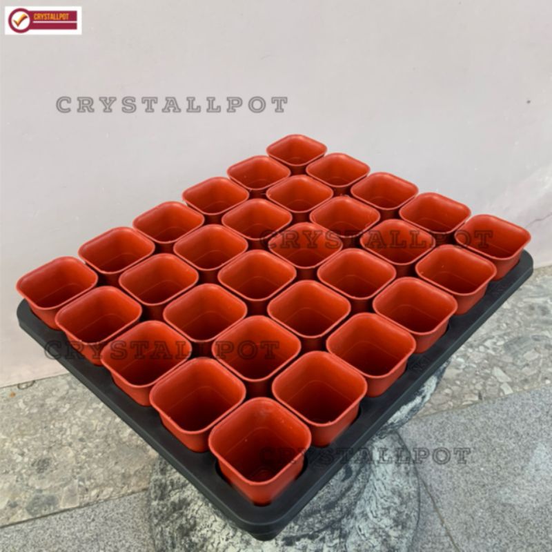 1 SET TRAY LUBANG 30 + POT NKT KOTAK 5CM MERAH BATA 30 PCS | TRAY SEMAI BIBIT