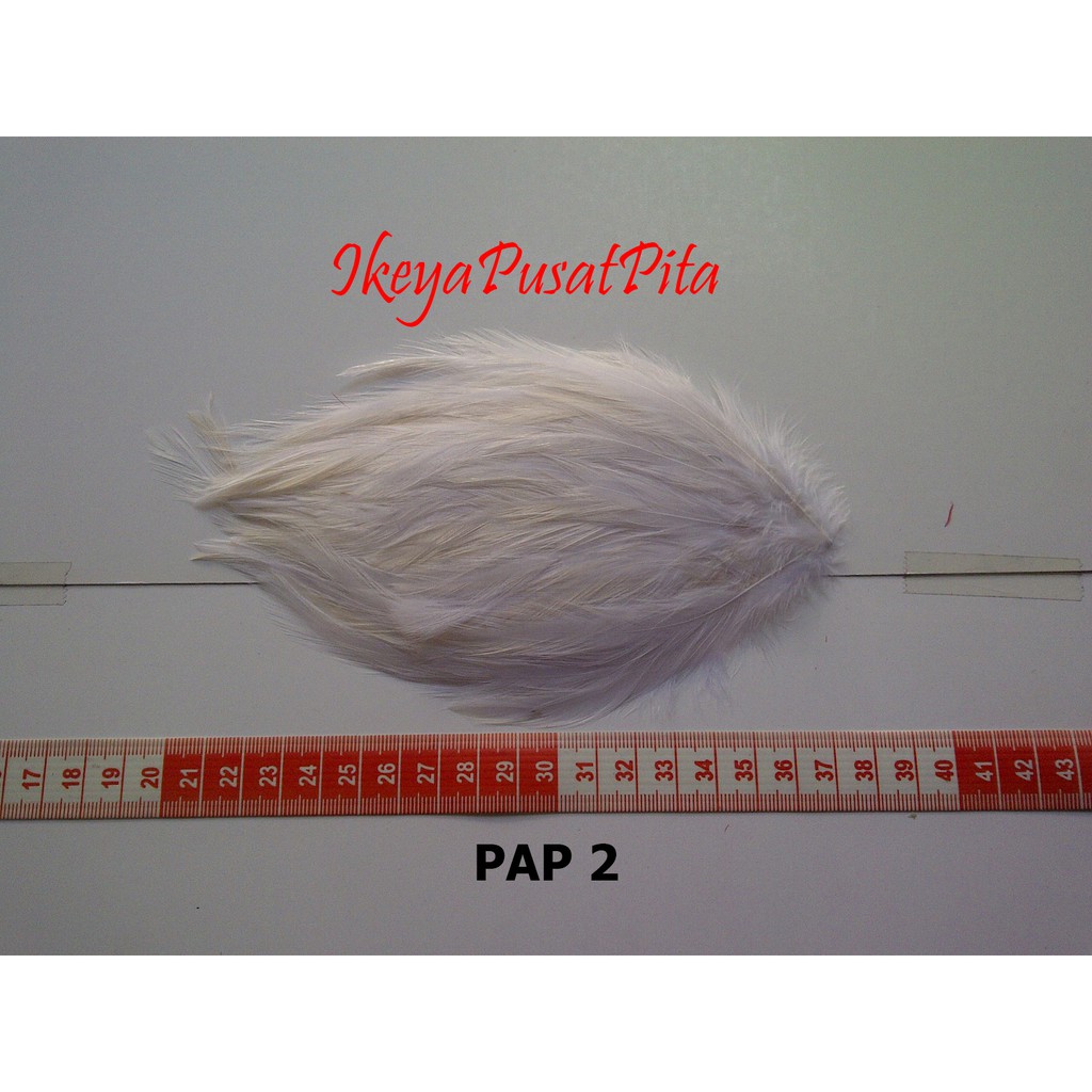 (1 pcs) Bulu PAD Polos Putih PAP 2 | Bulu Ayam | Bulu Hias | Toko Bahan Craft | Ikeya Pusat Pita