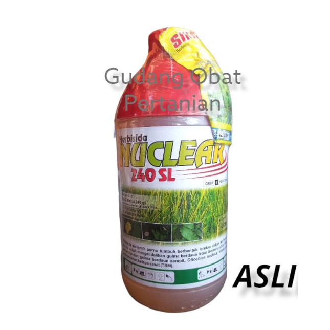 NUCLEAR 240 SL / Herbisida sistemik / Racun rumput nuklir / racun rumput mati akar