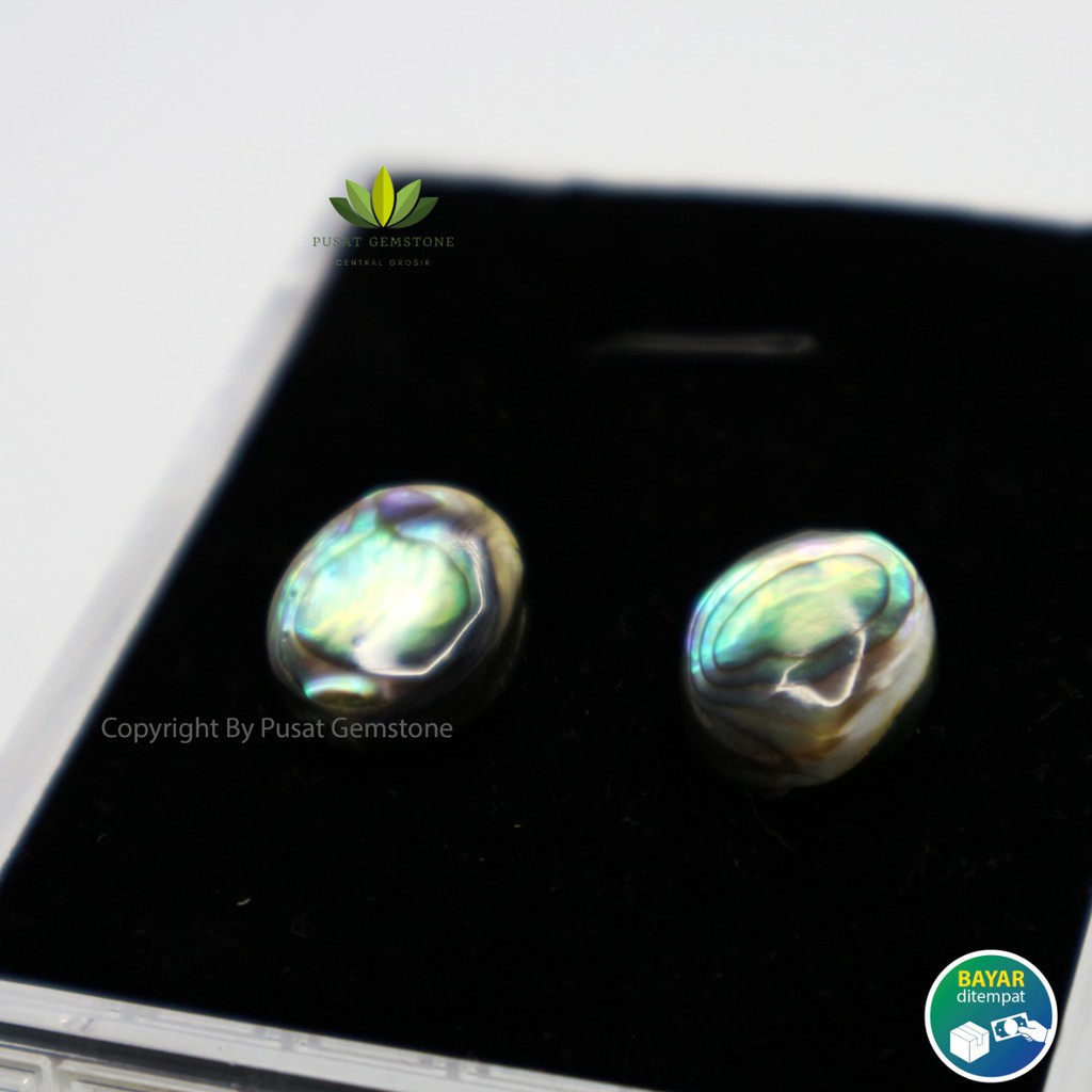 Batu Akik Kerang Jarong